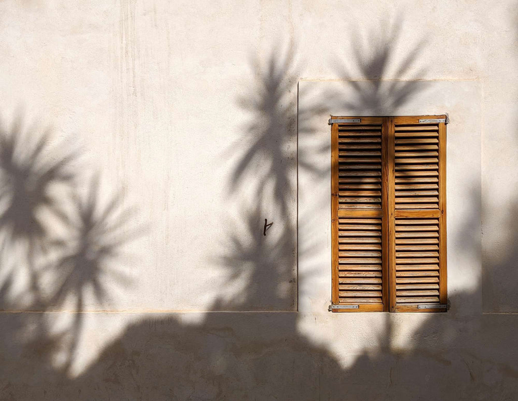 Free stock image of palm tree shadows on a wall with window