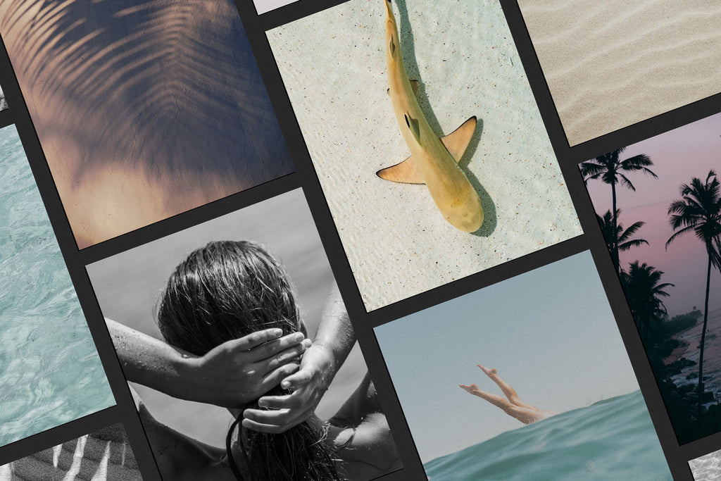 Collage mood-board of island-inspired stock photography