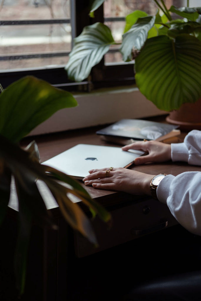 Free stock photography of a person on their laptop with lots of indoor plants